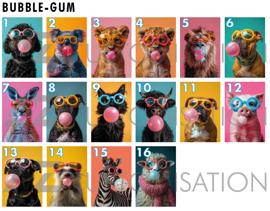 Collection Bubble-Gum