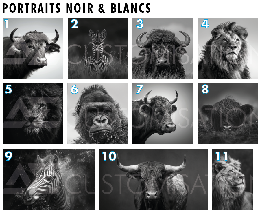 Collection portrait noir & blancs